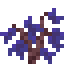 Indigo Jacaranda Sapling icon