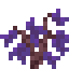 Jacaranda Sapling icon