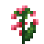 Kovan Flower icon