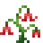 Lazarus Bellflower icon