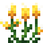 Lollipop Flower icon