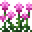 Magenta Amaranth icon