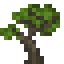 Maple Sapling icon