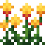 Orange Amaranth icon