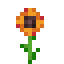 Orange Daisy icon