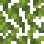 Palm Leaves icon
