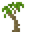 Palm Sapling icon