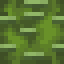Palo Verde Log icon