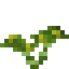 Palo Verde Sapling icon