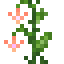 Peach Leather Flower icon