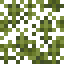 Pine Leaves icon