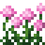 Pink Allium Flower Bush icon