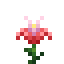 Pink Daffodil icon
