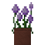 Potted Allium Flower Bush icon