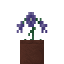 Potted Alpine Bellflower icon