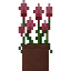Potted Amaranth icon