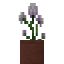 Potted Angelica icon
