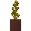Potted Aspen Sapling icon