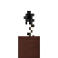 Potted Black Rose icon