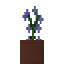 Potted Blue Sage icon