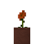 Potted California Poppy icon
