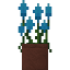 Potted Cyan Amaranth icon