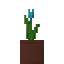 Potted Cyan Tulip icon