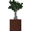 Potted Cypress Sapling icon