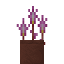 Potted Fairy Slipper icon
