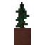 Potted Fir Sapling icon