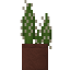 Potted Golden Spined Cactus icon