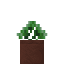 Potted Green Enchanted Sapling icon