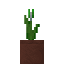 Potted Green Tulip icon