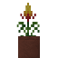 Potted Guzmania icon