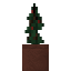 Potted Holly Sapling icon
