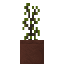 Potted Horseweed icon
