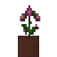 Potted Incan Lily icon