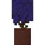 Potted Indigo Jacaranda Bush icon