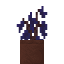 Potted Indigo Jacaranda Sapling icon