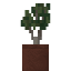 Potted Ironwood Sapling icon