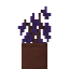 Potted Jacaranda Sapling icon