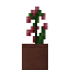 Potted Kovan Flower icon