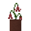 Potted Lazarus Bellflower icon