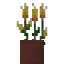 Potted Lollipop Flower icon