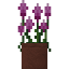 Potted Magenta Amaranth icon