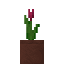 Potted Magenta Tulip icon