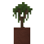 Potted Mahogany Sapling icon