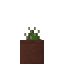 Potted Mini Cactus icon