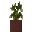 Potted Orchard Sapling icon