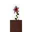 Potted Osiria Rose icon